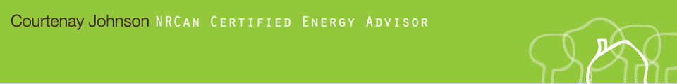 Logo for Courtenay Johnson's Energy Audit Service, Almonte ONT